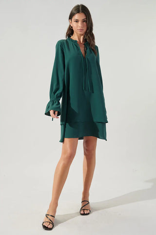 Karyssa Trapeze Dress